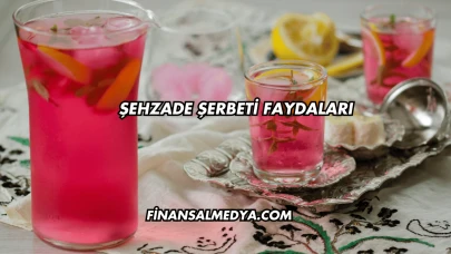 Şehzade Şerbeti Faydaları