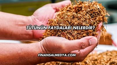 Tütünün Faydaları Nelerdir?