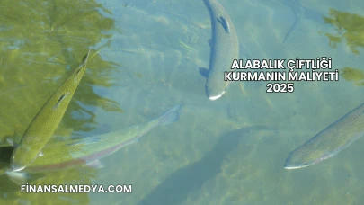 Alabalık Çiftliği Kurmanın Maliyeti 2025