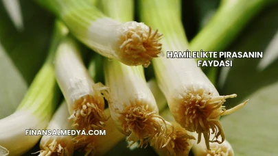 Hamilelikte Pırasanın Faydası