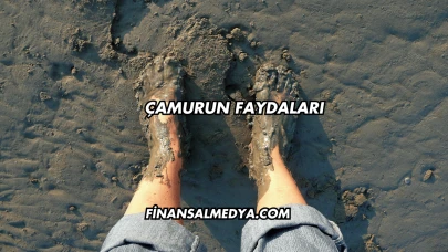 Çamurun Faydaları