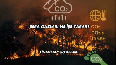 Sera Gazları Ne İşe Yarar?