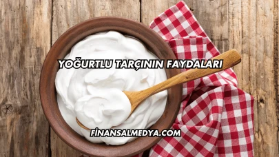 Yoğurtlu Tarçının Faydaları