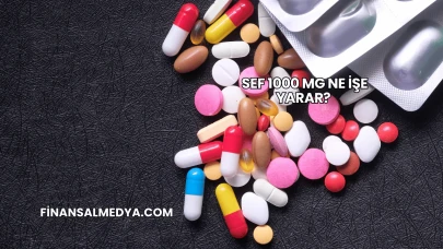 Sef 1000 Mg Ne İşe Yarar?