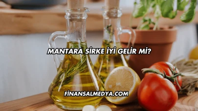 Mantara Sirke İyi Gelir mi?