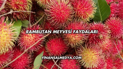 Rambutan Meyvesi Faydaları