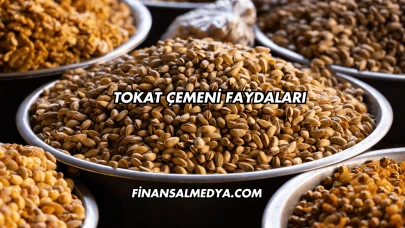 Tokat Çemeni Faydaları