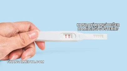 Kandaki Hangi Değer Hamileliği Gösterir?