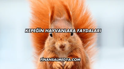 Kepeğin Hayvanlara Faydaları