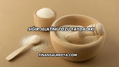 Sığır Jelatini Tozu Faydaları