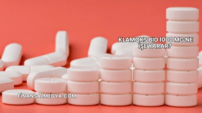 Klamoks BID 1000 Mg Ne İşe Yarar?
