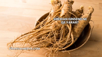 Siberian Ginseng Ne İşe Yarar?