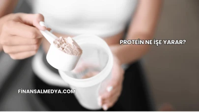 Protein Ne İşe Yarar?