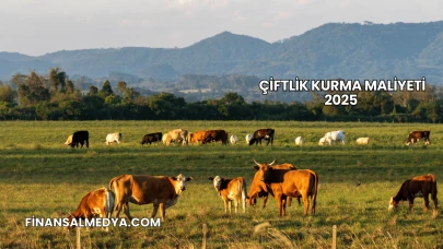 Çiftlik Kurma Maliyeti 2025