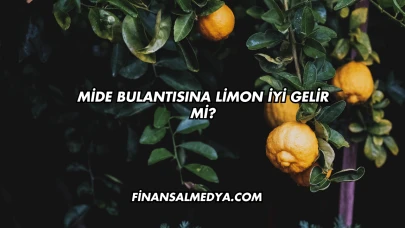 Mide Bulantısına Limon İyi Gelir mi?