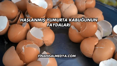 Haşlanmış Yumurta Kabuğunun Faydaları