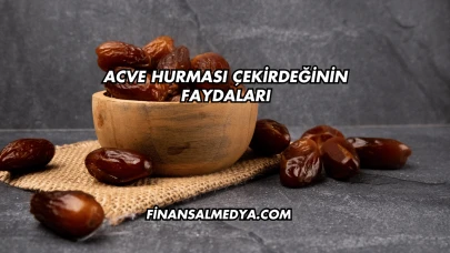 Acve Hurması Çekirdeğinin Faydaları
