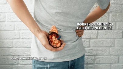 Böbrek Kumuna İyi Gelenler Nelerdir?