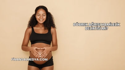 Böbrek Ağrısı Hamilelik Belirtisi mi?