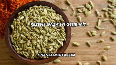 Rezene Gaza İyi Gelir mi?