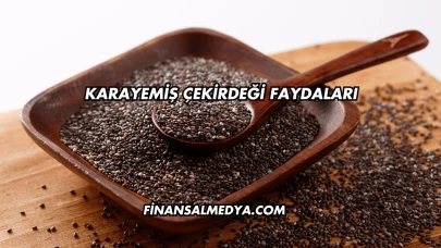Karayemiş Çekirdeği Faydaları