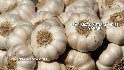 Sarımsak Yutmak Ne İşe Yarar?