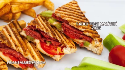1 Adet Tost Maliyeti 2025