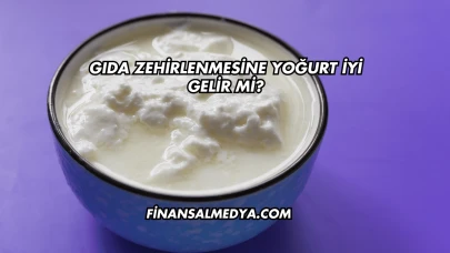 Gıda Zehirlenmesine Yoğurt İyi Gelir mi?
