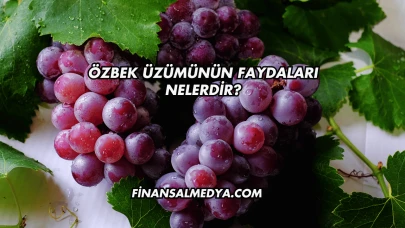 Özbek Üzümünün Faydaları Nelerdir?