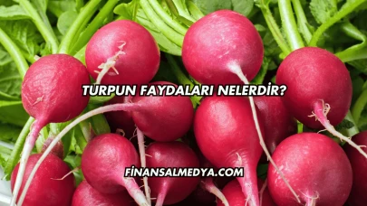 Turpun Faydaları Nelerdir?
