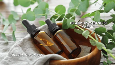 Okaliptus Yağı Ne İşe Yarar?