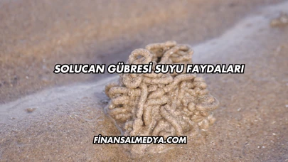 Solucan Gübresi Suyu Faydaları
