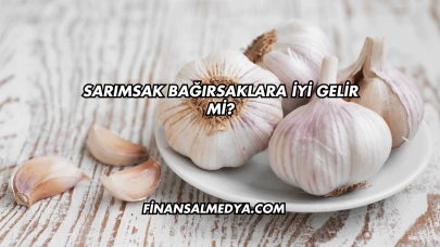 Sarımsak Bağırsaklara İyi Gelir mi?