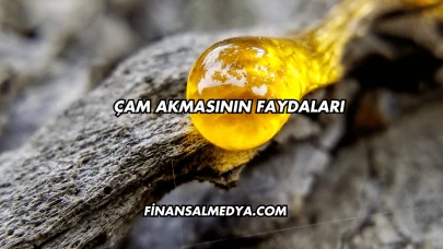 Çam Akmasının Faydaları
