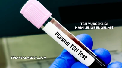 TSH Yüksekliği Hamileliğe Engel mi?