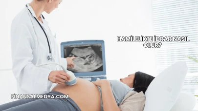 Hamilelikte İdrar Nasıl Olur?