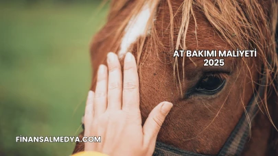At Bakımı Maliyeti 2025