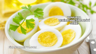 Yumurta Zehirlenmesine Ne İyi Gelir?