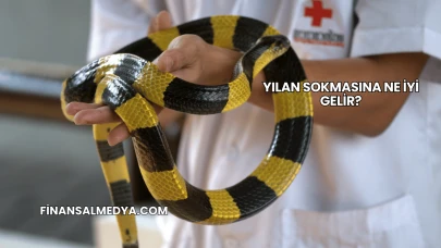 Yılan Sokmasına Ne İyi Gelir?