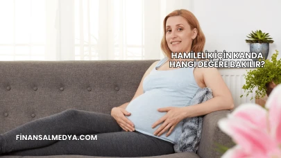 Hamilelik İçin Kanda Hangi Değere Bakılır?