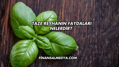 Taze Reyhanın Faydaları Nelerdir?