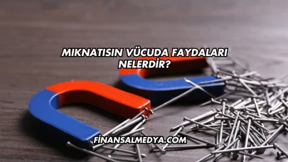 Mıknatısın Vücuda Faydaları Nelerdir?