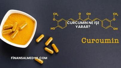 Curcumin Ne İşe Yarar?