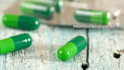 Propolis Ne İşe Yarar?