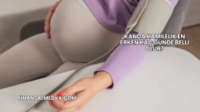Kanda Hamilelik En Erken Kaç Günde Belli Olur?