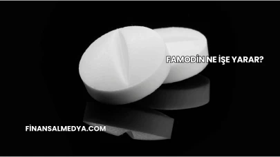 Famodin Ne İşe Yarar?