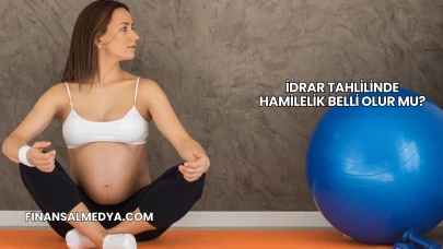 İdrar Tahlilinde Hamilelik Belli Olur mu?