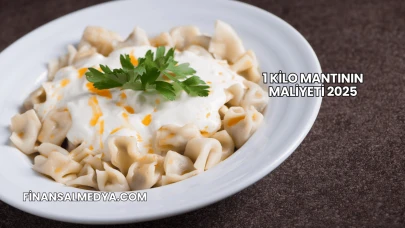 1 Kilo Mantının Maliyeti 2025