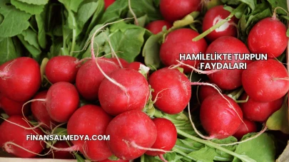 Hamilelikte Turpun Faydaları
