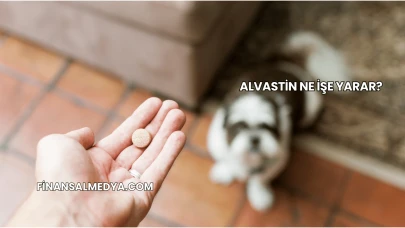 Alvastin Ne İşe Yarar?